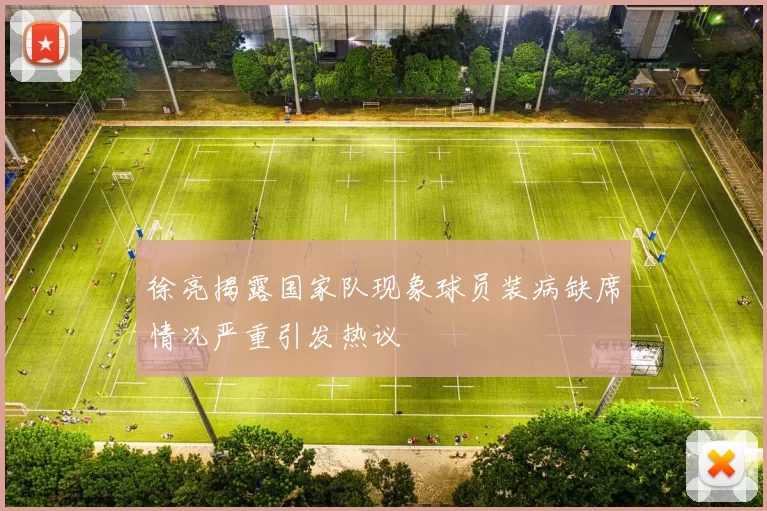 徐亮揭露国家队现象球员装病缺席情况严重引发热议