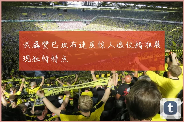 武磊赞巴坎布速度惊人选位精准展现独特特点